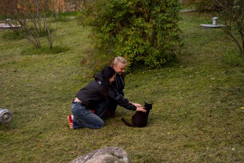 20251009 173611 44C216D1